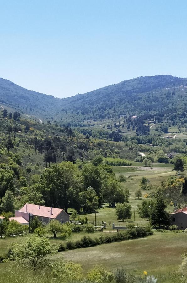 Turismo Rural Macieira Brava Guarda Exteriör bild