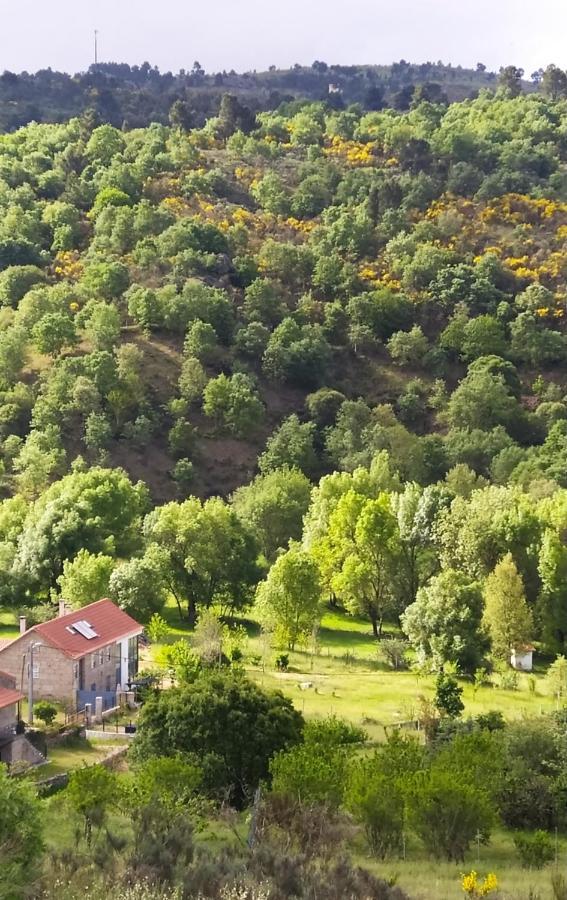 Turismo Rural Macieira Brava Guarda Exteriör bild