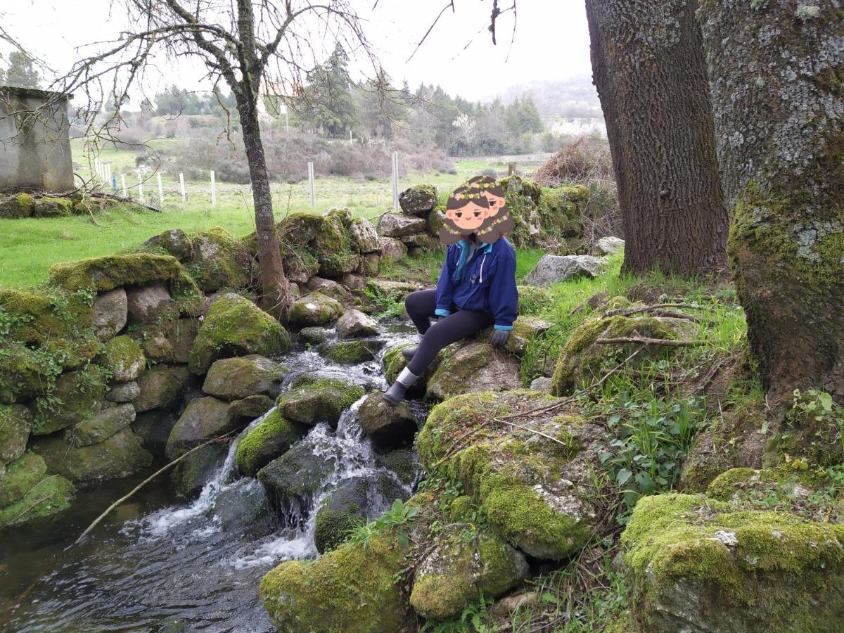 Turismo Rural Macieira Brava Guarda Exteriör bild
