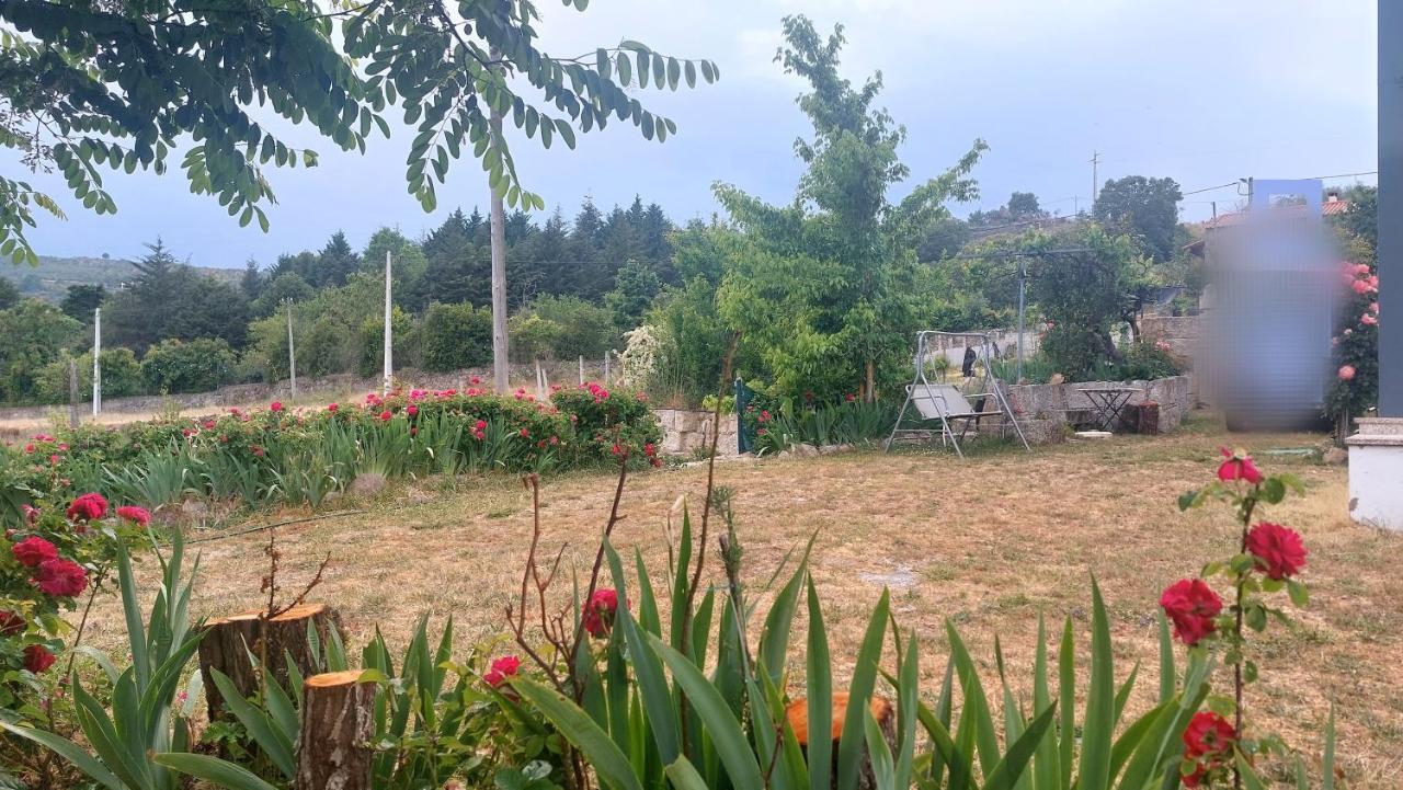 Turismo Rural Macieira Brava Guarda Exteriör bild