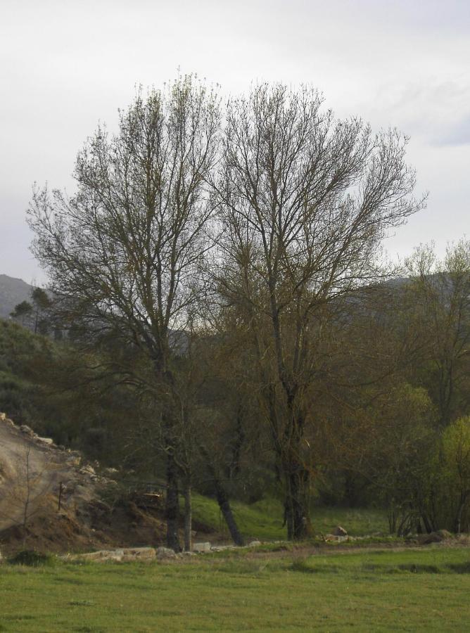 Turismo Rural Macieira Brava Guarda Exteriör bild