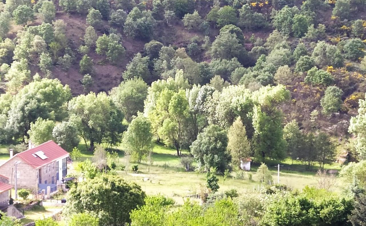 Turismo Rural Macieira Brava Guarda Exteriör bild